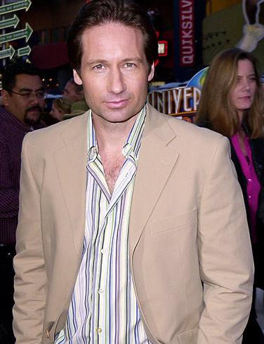 david duchovny picture 1 David Duchovnys jam movie